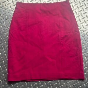 Ann Taylor Fuchsia Pencil Skirt